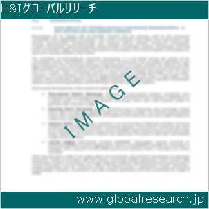 グローバルリサーチ調査レポートのイメージ